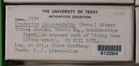 Image Associated With the Occurence